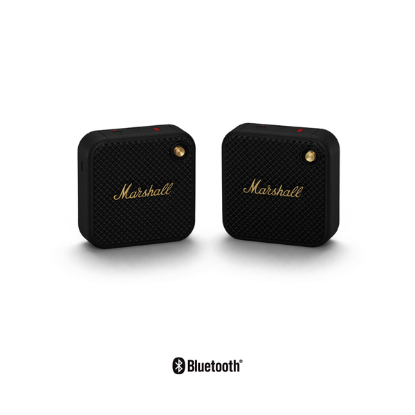 Marshall BFF Package (2 Marshall Willen) 
